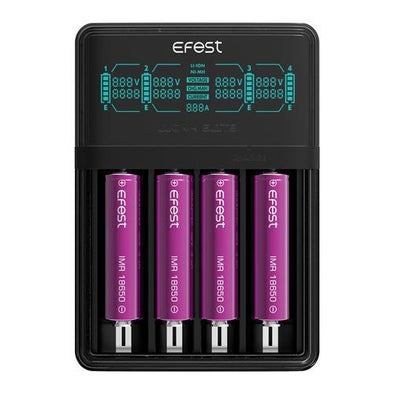 EFEST LUC V4 CHARGER